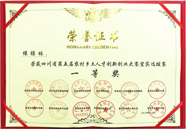 创业大赛一等奖